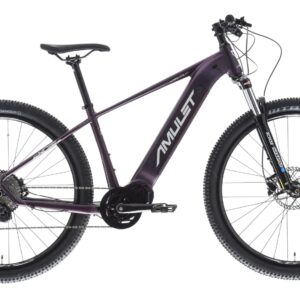 Amulet 29 eRival 5.0 sh royal purple/white 2025