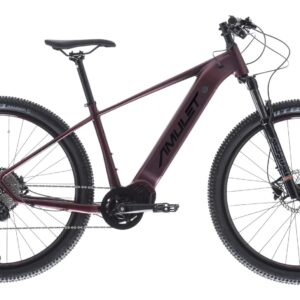 Amulet 29 eRival 5.5 sh orient red/black 2025