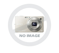 Blatník /Joy/ 20" (přední)