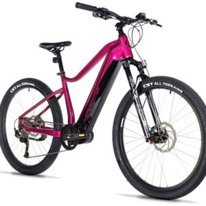 E-BIKE DIXON GENT 29",20,5"-2, GREEN BOTTLE (PANASONIC)