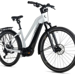 E-BIKE DIXON GENT 29",20,5"-2, GREEN BOTTLE (PANASONIC)