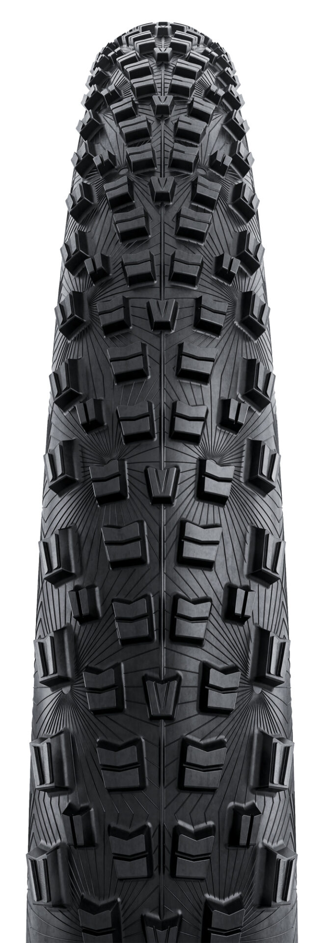 Plášť CONTINENTAL Trinotal Trail Grip kevlar transparent - 29x2.4 - Image 2