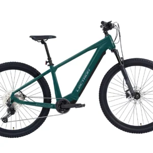 Lectron Esconder ARX Pro 29"/L , 2027 green, PŘI PŘEDOBJEDNÁVCE SLEVA 5% !